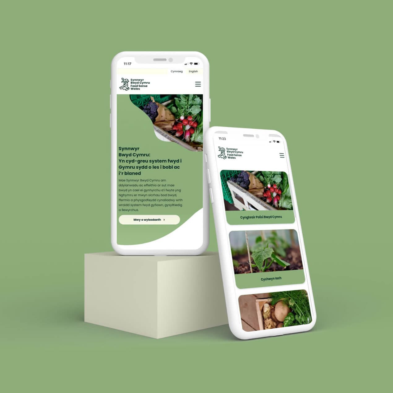 Food sense Wales new site